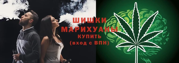 индика Елабуга