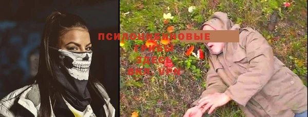 альфа пвп Белокуриха