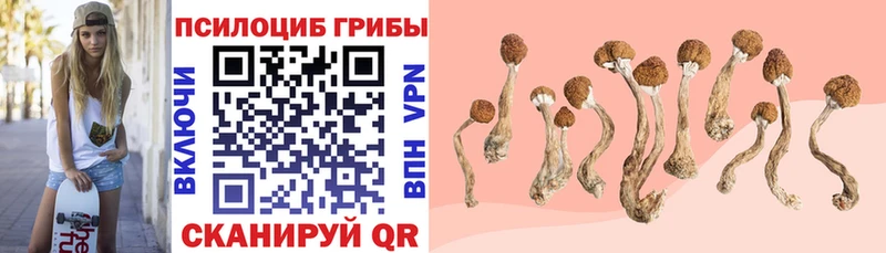 наркота  Невель  Галлюциногенные грибы Magic Shrooms 